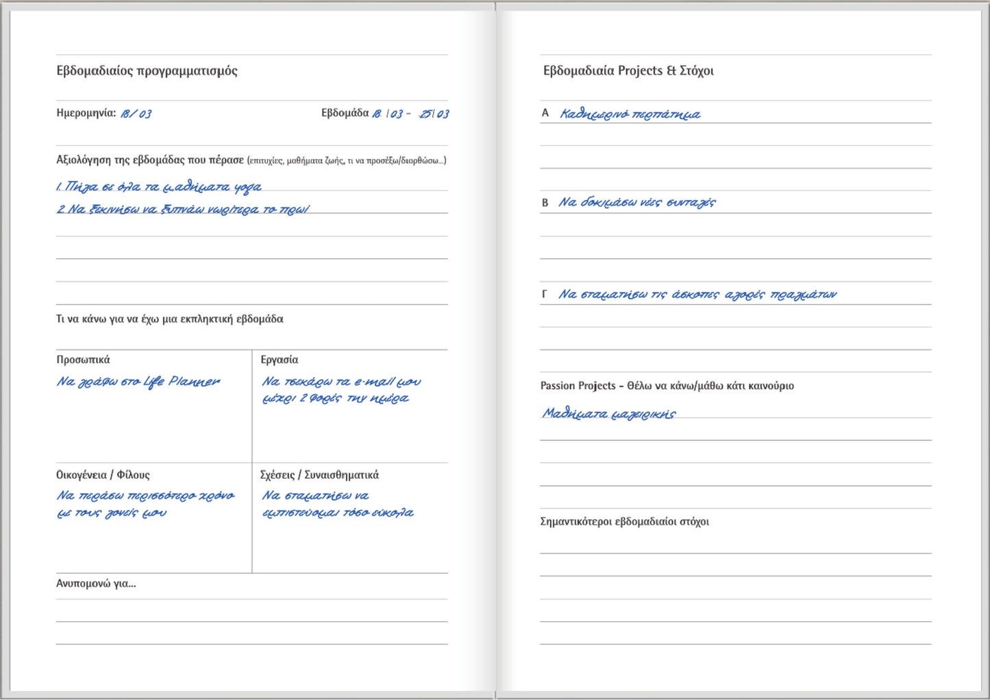 Life Planner