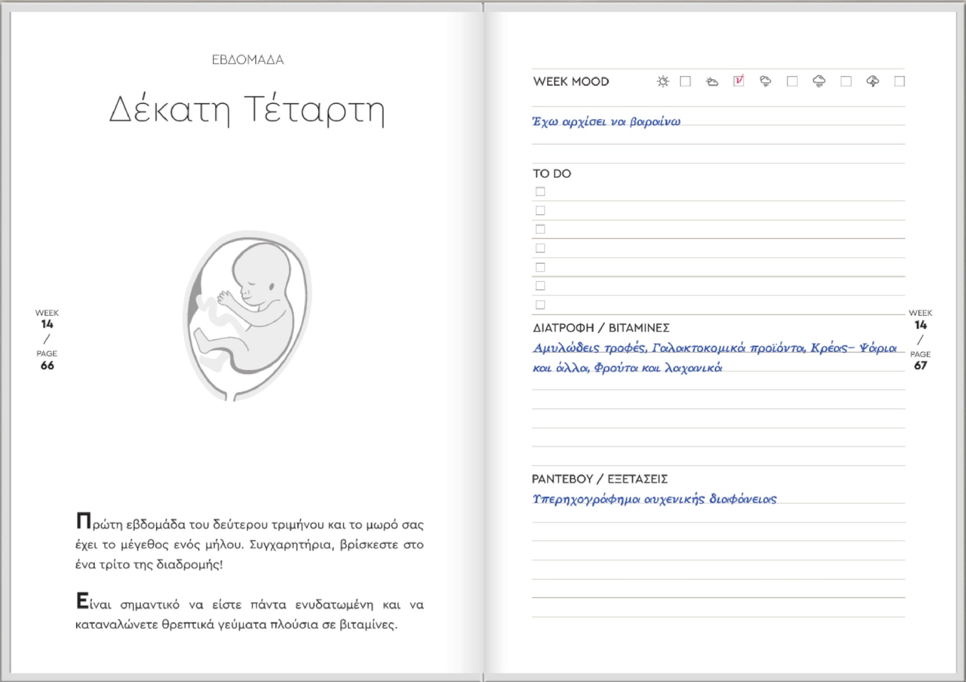 Ημερολόγιο Εγκυμοσύνης - moodbook