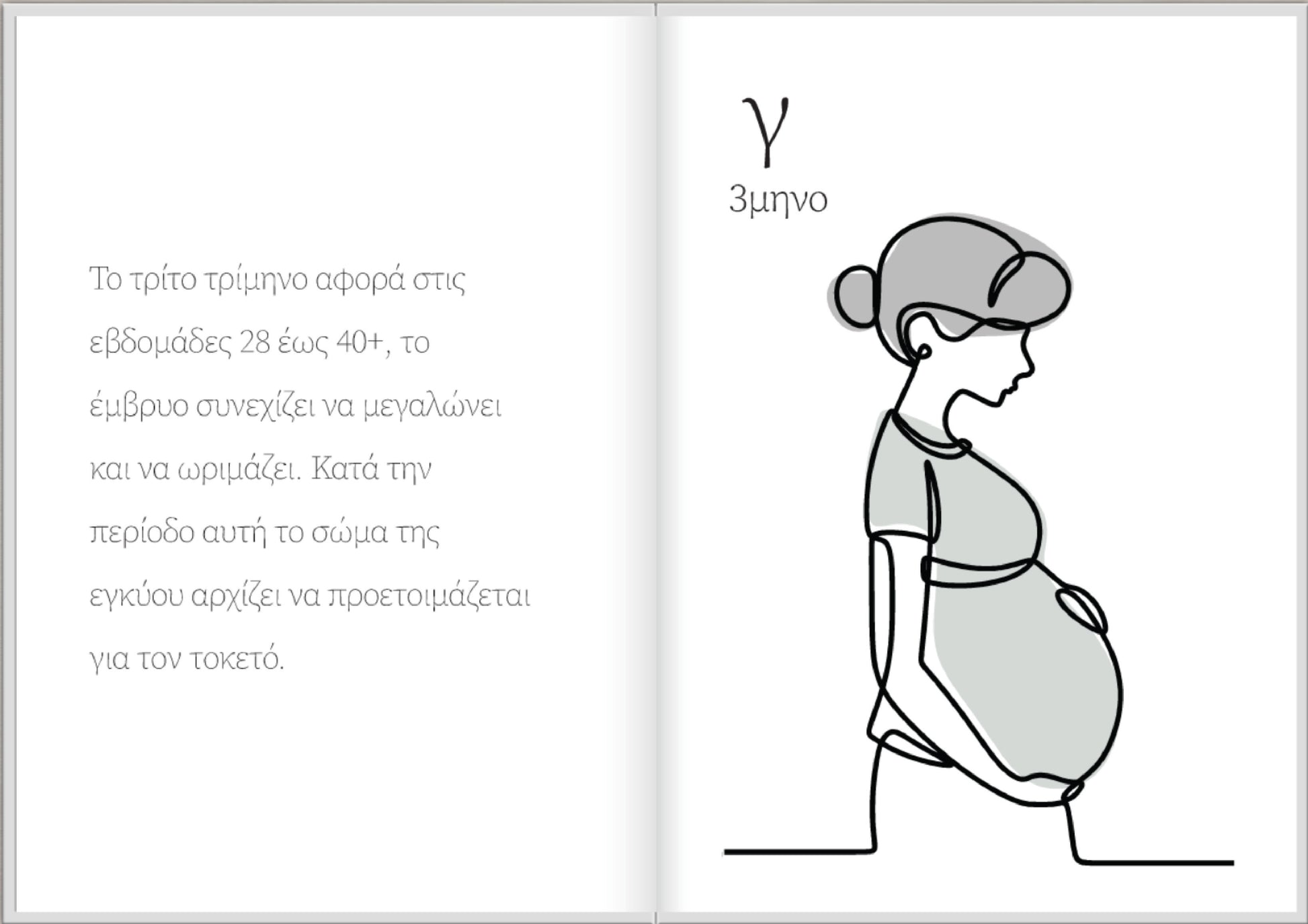 Ημερολόγιο Εγκυμοσύνης - moodbook