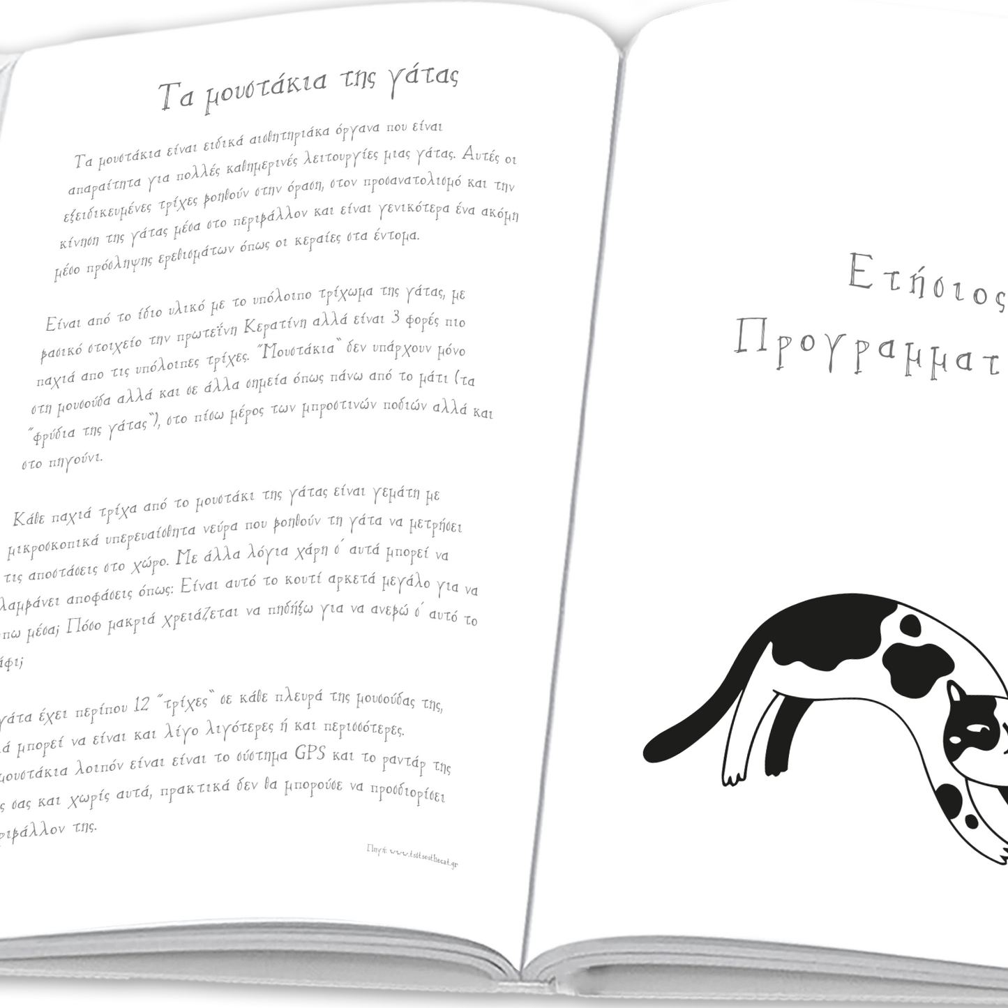 The Cat Book - moodbook