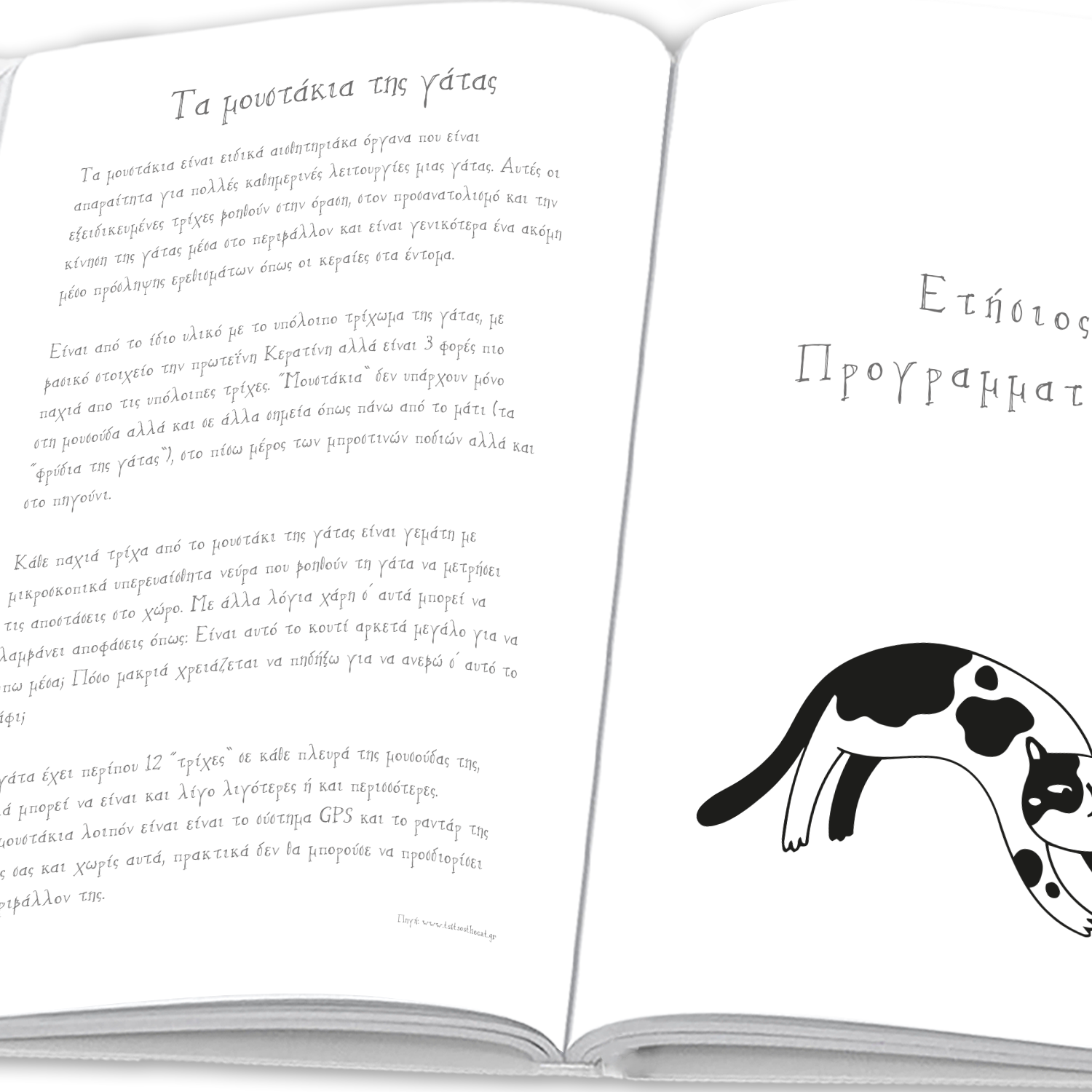 The Cat Book - moodbook