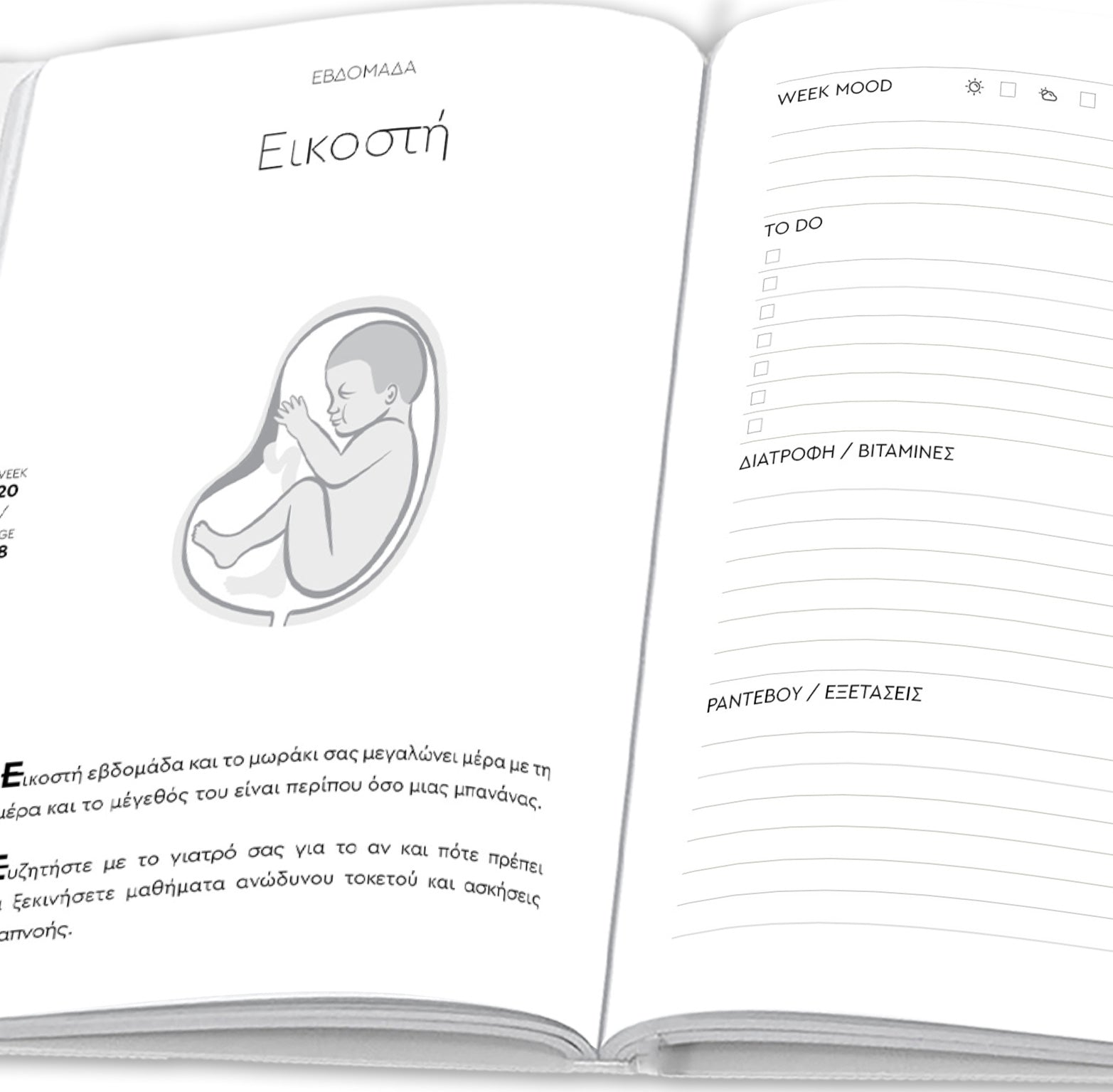 Ημερολόγιο Εγκυμοσύνης - moodbook